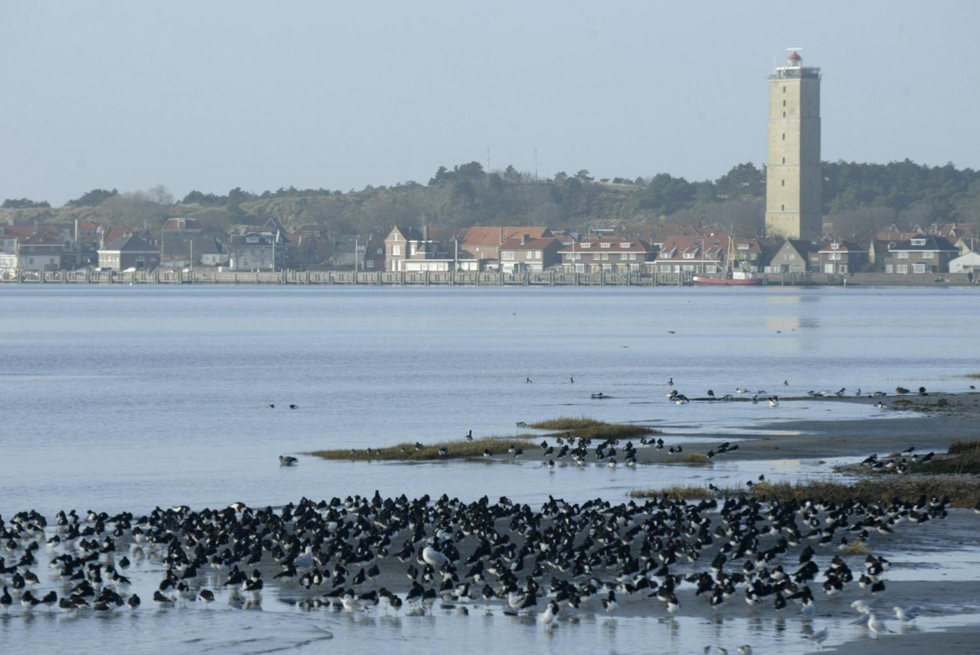 Stayokay Hostel Terschelling West-Terschelling Luaran gambar